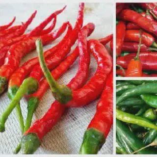 Budidaya Cabe dalam Pot - Cara Mudah dan Praktis untuk Menanam Cabai di Rumah