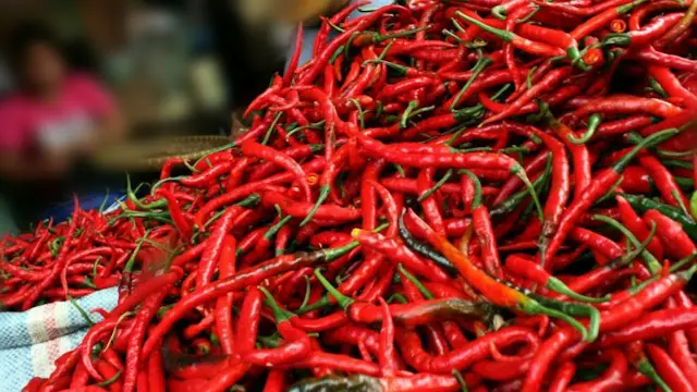 Cara Budidaya Cabe Merah yang Bagus untuk Pemula