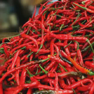 Cara Budidaya Cabe Merah yang Bagus untuk Pemula