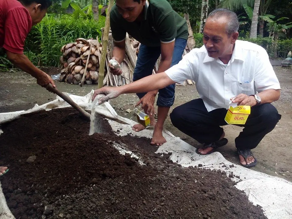 Cara Olah Tanah Budidaya Cabe Organik yang Mudah dan Efektif