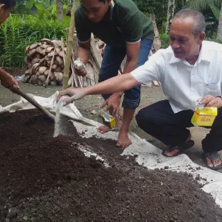 Cara Olah Tanah Budidaya Cabe Organik yang Mudah dan Efektif